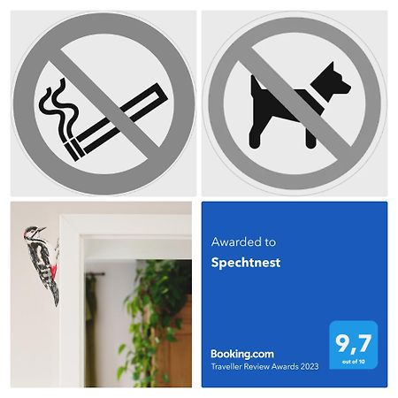 Spechtnest Apartman Naumburg  Kültér fotó